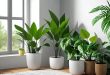 полезные комнатные растения